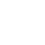 Eels logo white